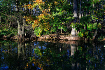 Spreewald, Luebbenau, Brandenburg, Deutschland