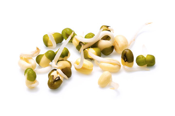 Healthy fresh sprouts separated on a white background
