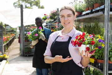 Fototapeta premium Florist girl working in greenhouse