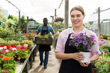 Florist girl working in greenhouse