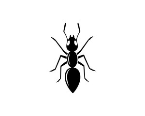 ant logo icon vector illustration design