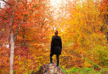 Woman standing in an autumn forest looking at all the colorful trees in southern Sweden.