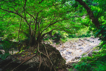 Taroko National Park, Hualien, Taiwan