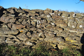 muro