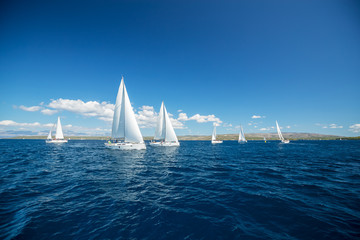 Sailing yachts regatta competition - obrazy, fototapety, plakaty