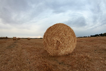 circular straw bales, stormy skies at sunset