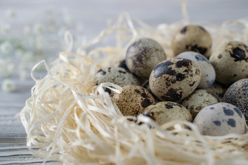 Happy easter decoration with quail egss in the nest, macro closeup