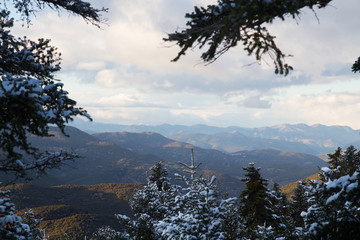 Mountainous landscape during winter, with clouds and sun rays, through a frame of snowy fir trees