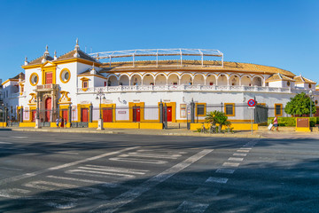 Plaza de Toros de la Real Maestranza, arena Corrida di Siviglia, Andalucia, Spagna