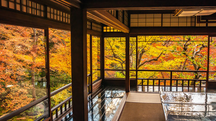 Landscape view of the vibrant and beautiful 'Ruri no Niwa' as seen from the second floor of the two-storey building in Rurikoin during the peak autumn foliage season in Kyoto City.