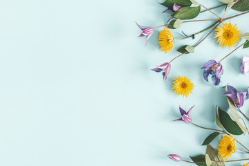 Flowers composition. Yellow and purple flowers on pastel blue background. Spring, easter concept. Flat lay, top view, copy space