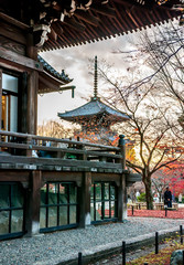 Japanese visitors seen walking on the temple grounds of Shinnyodo Temple during the peak autumn foliage, with bare trees and the Shinnyodo Pagoda in the background.