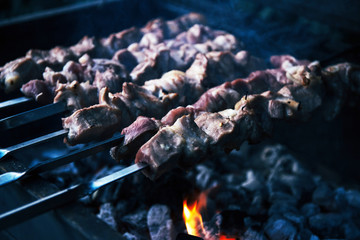 Shish kebab, fried meat. camping, opening season.