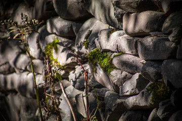 Moss-covered stone. Beautiful moss and lichen covered stone. Bright green moss Background textured in nature. Natural moss on stones in winter forest.