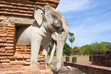 Fototapeta na wymiar One of the elephants supporting the chedi of the Buddhist temple Wat Sorasak close up. Sukhothai, Thailand