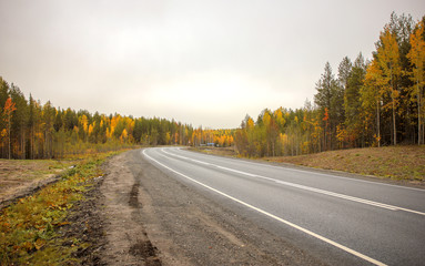The asphalted small highway in an autumn season.