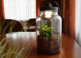 Kompozycja dekoracja słój z oświetleniem kawa