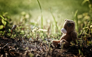 lost toy on the ground