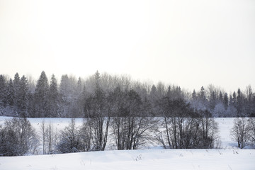 Landscape in the winter cloudy day