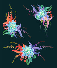 set of bouquets of succulents in blue, green and red tones, floral elements, can be used for greeting card or wedding invitation, natural cosmetics, health care, yoga center and other design