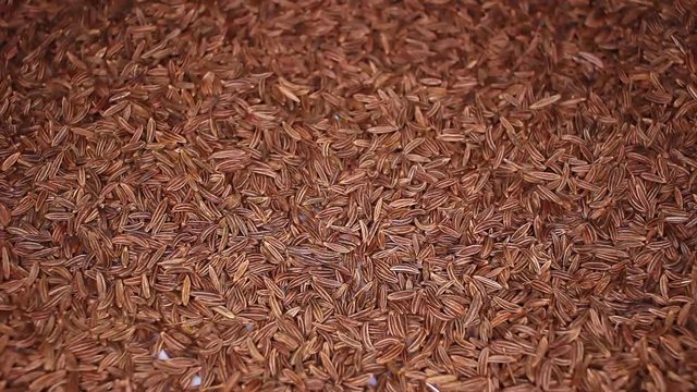 Cumin caraway seeds seed rotating seamless looping food texture pattern close up footage