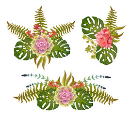 set of bouquets of succulents in green tones, illustration of floral elements, can be used for greeting card or wedding invitation, natural cosmetics, health care, yoga center and other design