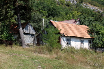 Very small abandoned old wooden family house with dilapidated cracked facade and roof tiles next to small barn completely surrounded with dense forest and uncut grass on warm sunny day