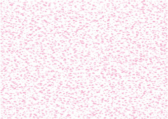 桜5d