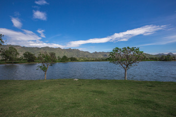 Background of blue sky and small trees surrounded by mountains, reservoirs, fresh air, beautiful ecological systems, often found in conservation areas or tourist sites 