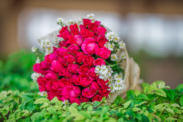 Wallpaper of flowers (roses) that are placed on chairs or wooden tables, to be displayed at festivals or on special occasions (Valentine, wedding, birthday, new year) 