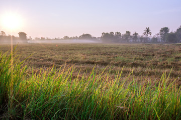 Natural background during the rising sun from the horizon, mountain, wallpaper, twilight light of the sky, bright colors along the rice fields, beauty during travel 