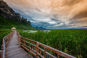 The background of a long wooden bridge along the mountain, the surrounding nature (trees, grass, fine weather), the beauty of the ecosystem