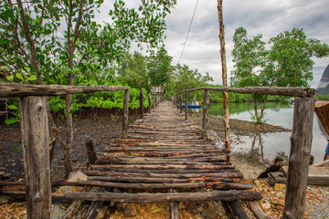 The background of the jetty, the waterfront village community and the wooden bridge overlooking the mangrove forest, is the beauty of nature, seen during travel.