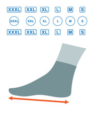 The size of the foot in humans. Foot size profile. Sizes of socks. Shoe sizes. Scheme of foot sizes for shoes and socks on a white background. Can be used for sizes socks, shoes. Vector illustration