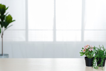 There are beautiful flowers and various objects in front of big living room windows.