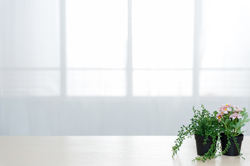 There are beautiful flowers and various objects in front of big living room windows.