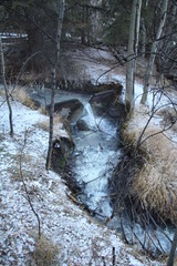 Winter Along The Creek, Banff National Park, Alberta