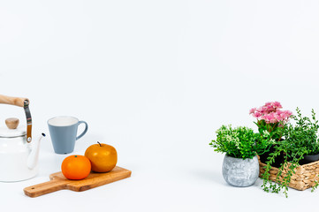 Tidy flowers or fruits and various kitchen tools on the white background.