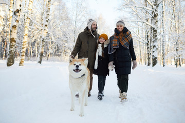 Fototapeta na wymiar Full length portrait of happy family walking dog in beautiful winter forest, copy space