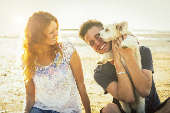 Happy couple in love having fun at the beach playing with their white dog. Concept about animals, people and lifestyle