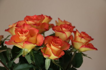 Rosen im Blumenstrauss
