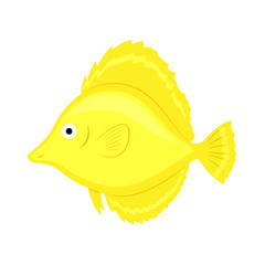 Yellow coral fish vector illustration isolated on white