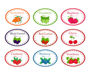 Set of different round labels for jam with the garden berries vector illustration isolated