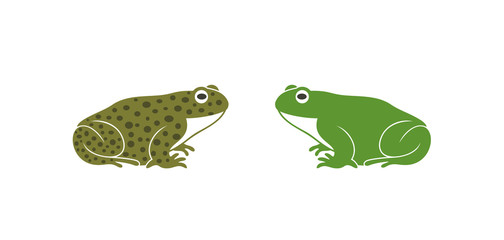 Green frog. Abstract frog on white background. Bufo Common European Toad