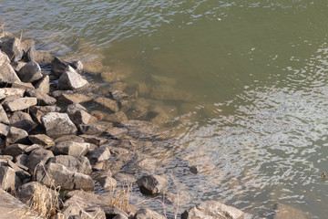 stones in the water at the river side