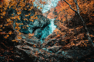 Cape Breton, Nova scotia, Canada 