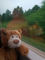 Reise mit dem Zug - Teddy