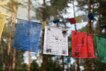 Colorful prayer flags (lungta/darcho) of Buddhist philosophy with mantra and butterfly in the wind. Soft focus with bokeh