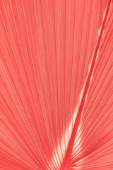 Living coral background, nature organic leaves plant texture