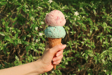 Hand holding an Ice cream cone with two scoops in the sunlight against blurry flowering tree